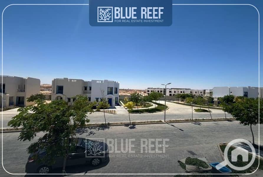 4 بقلاقلقاغقف. jpg