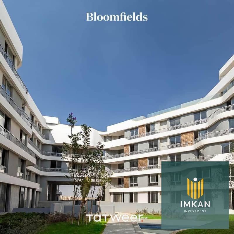 10 457617202_3857059427869801_6801506671548085201_n. jpg