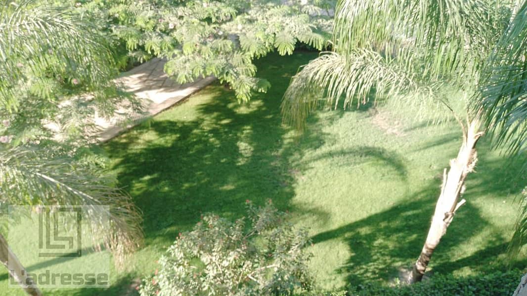 2 IMG-20251001-WA0049. jpg