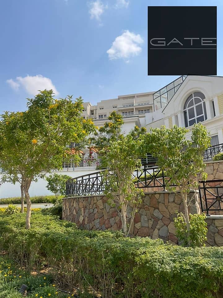 11 363749785_238311712451274_7483905648071541563_n. jpg