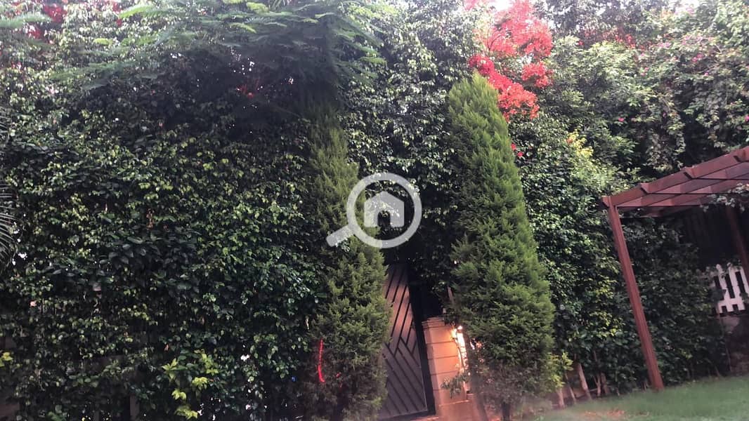 3 IMG-20250927-WA0047. jpg