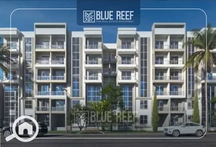 3 Bedroom Penthouse for Sale in New Cairo, Cairo - 1onflNkSw8twx7WbjwJ3BmnDQ5c6Dx50diANoUoU. jpeg