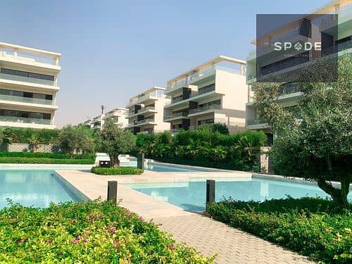 6 medium_IMG-20240805-WA0010. jpg