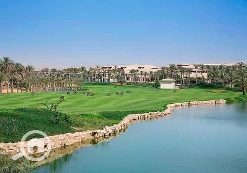 6 leonardo-2589962-808738-153091. jpg