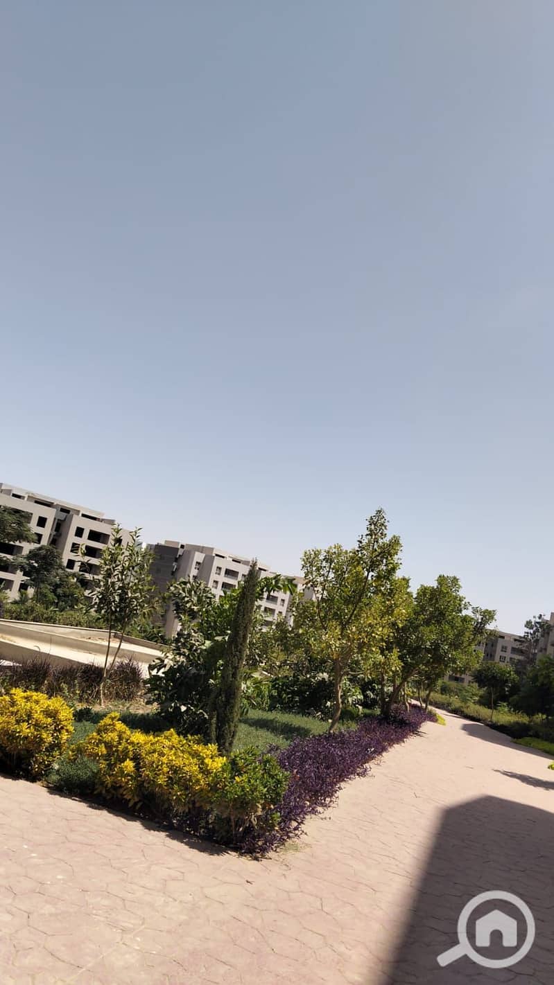 5 36a0910b-9321-4c24-8bac-2921d31dec7f. jpg