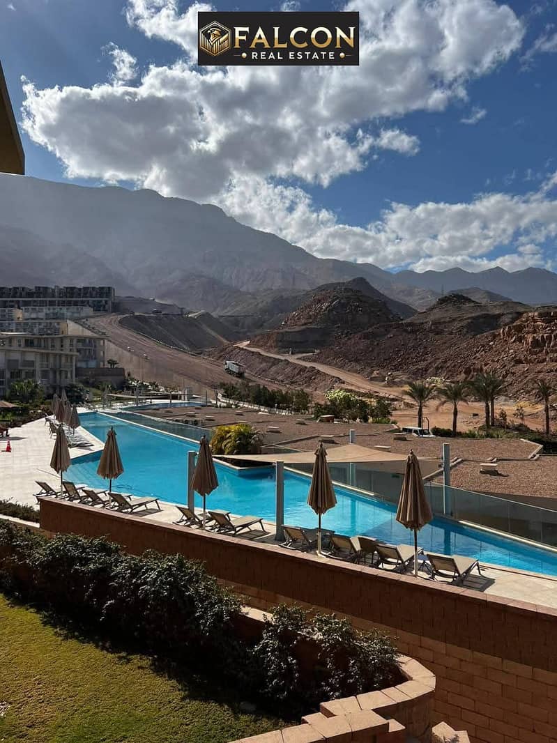 4 db050b97-df0b-4273-91c4-01bb1286b6a1. jpg