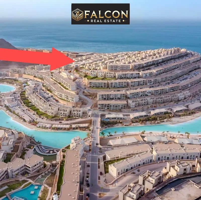 6 98df08af-163f-4689-a134-5111bce39c35. jpg