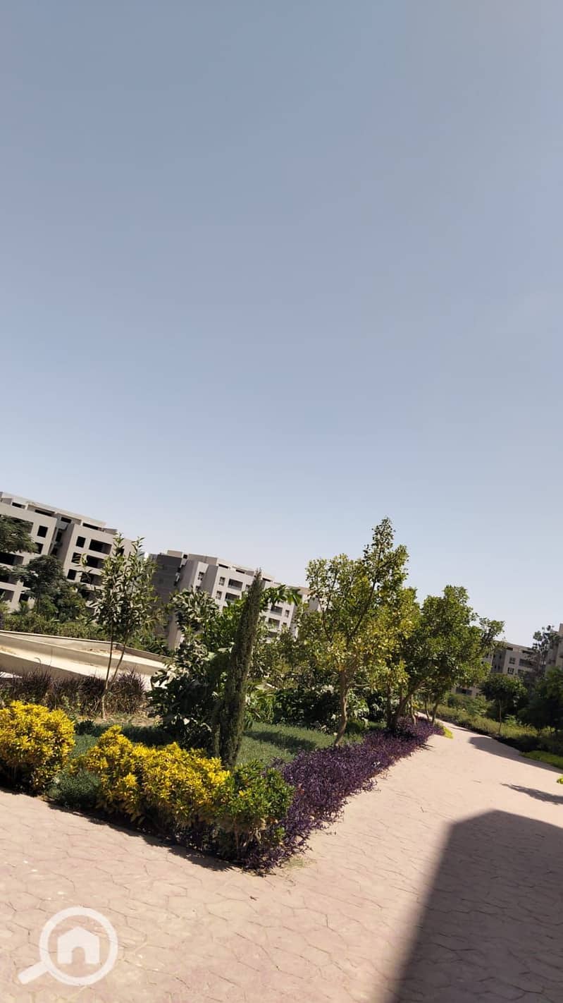 2 IMG-20251109-WA0055. jpg