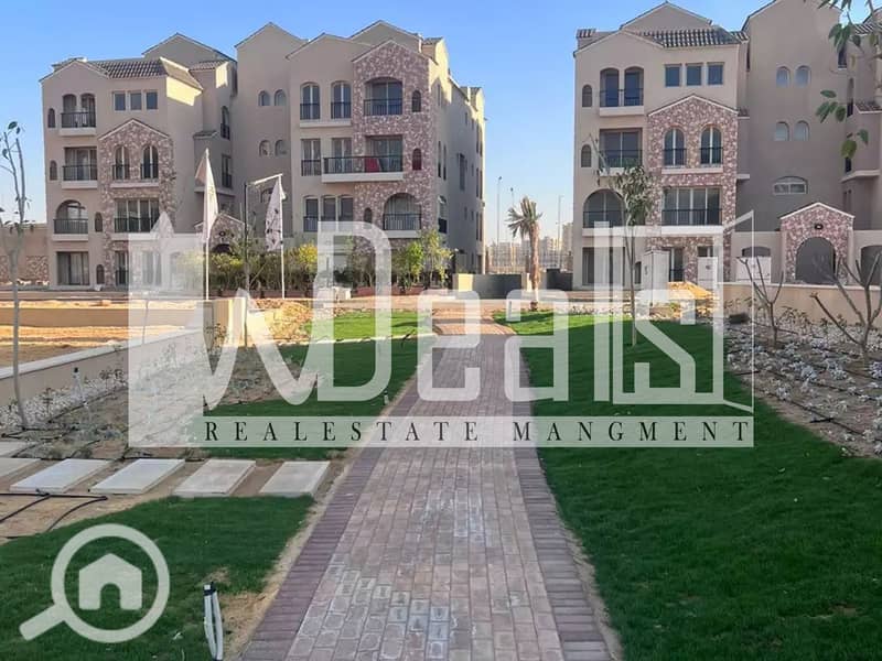 5 green-square-1685541604. jpg