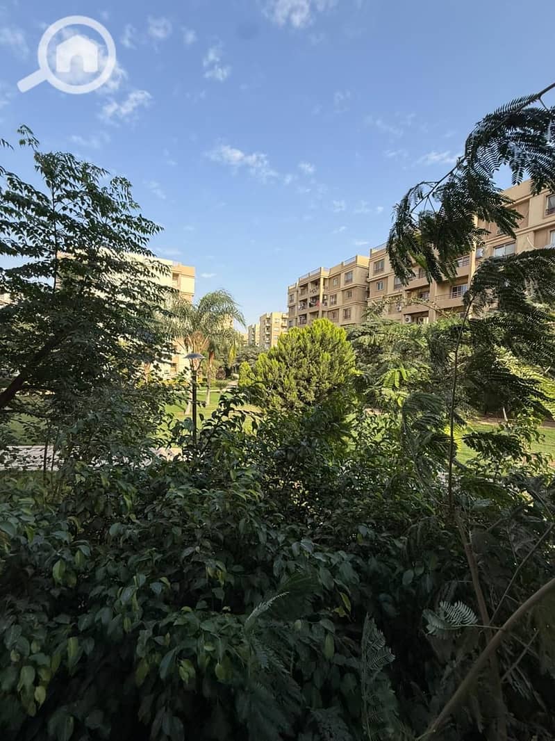 15 c32b03dd-0ffa-49bd-836b-42b5bbb263a3. jpeg