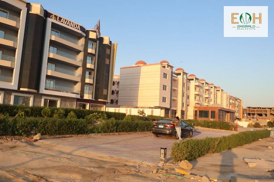 12 IMG_1531 - Copy. jpg