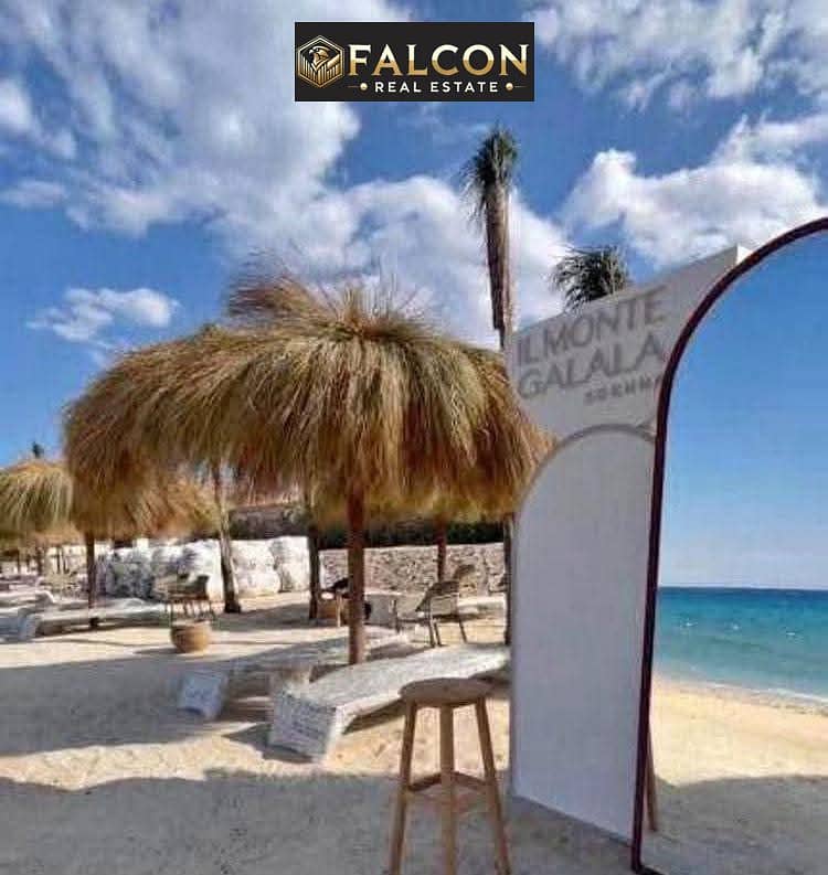 4 73a89ed3-2c6f-4c5e-9d48-428027c5a58e. jpg