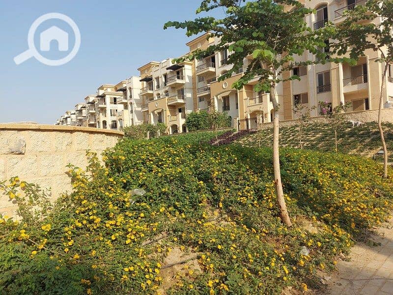 3 WhatsApp Image 2025-11-09 at 14.22. 53_228272b7. jpg