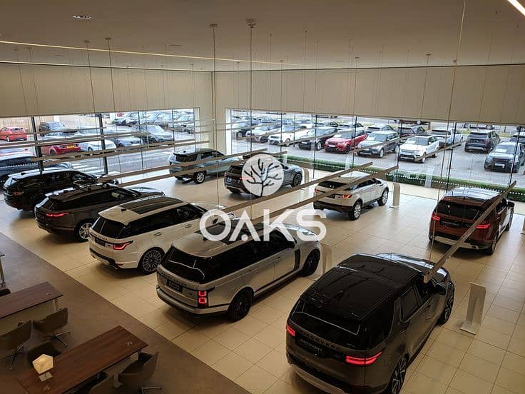 2 WhatsApp Image 2025-11-09 at 15.11. 07_2cece9a8. jpg