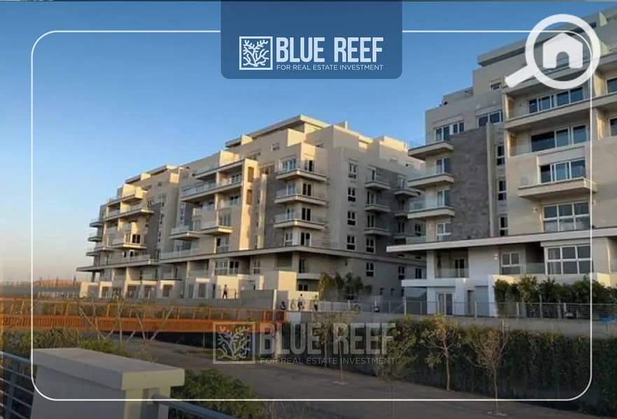 4 uii-Recovered-Recovered-dsfsf. jpg