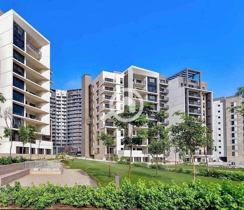 6 554099995_2193902447766076_6737490138708751773_n. jpg