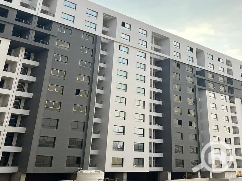 10 قطاميه جيت  . jpg