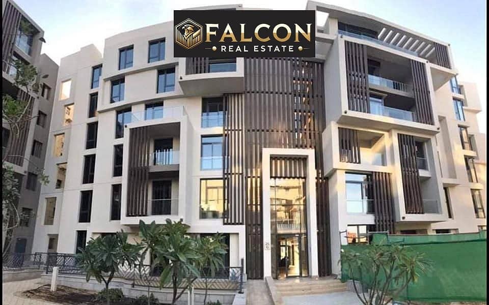 6 372435584_24556338860632046_2693553622274914578_n. jpg