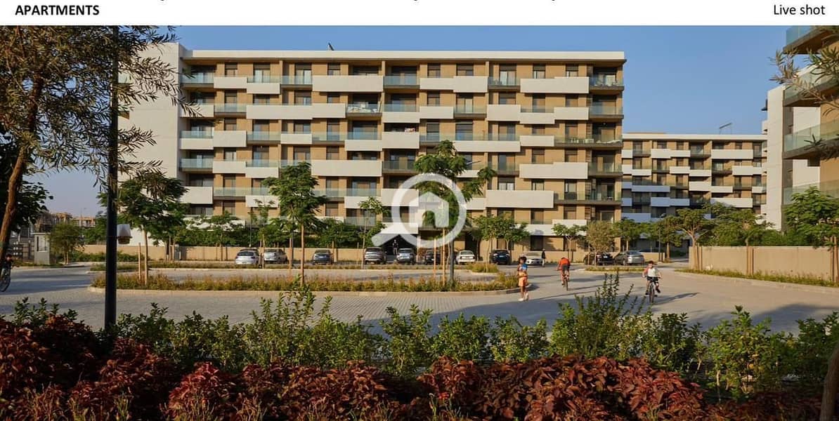 2 WhatsApp Image 2025-11-09 at 15.06. 04_954dbfa7. jpg