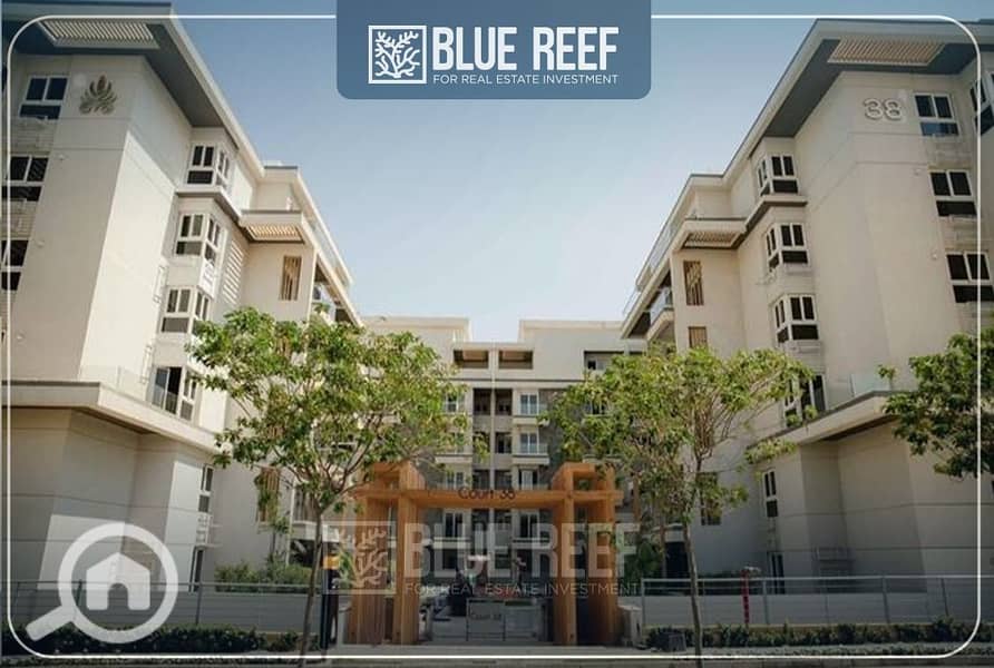 6 WhatsApp Image 2025-10-12 at 4.16. 11 PM (1). jpeg