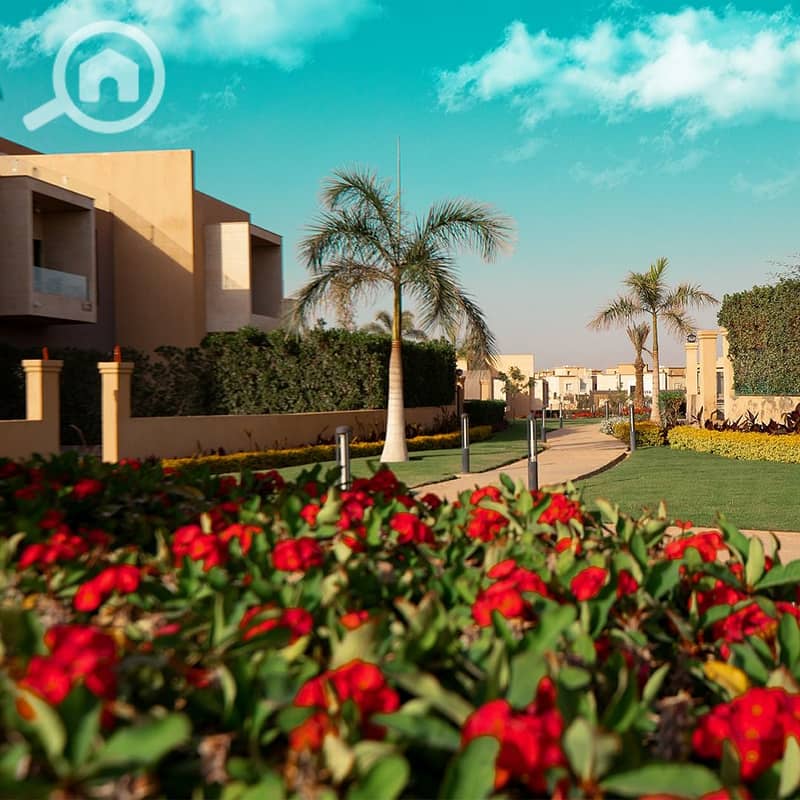 3 WhatsApp Image 2024-10-15 at 13.14. 20_b6b3142b. jpg