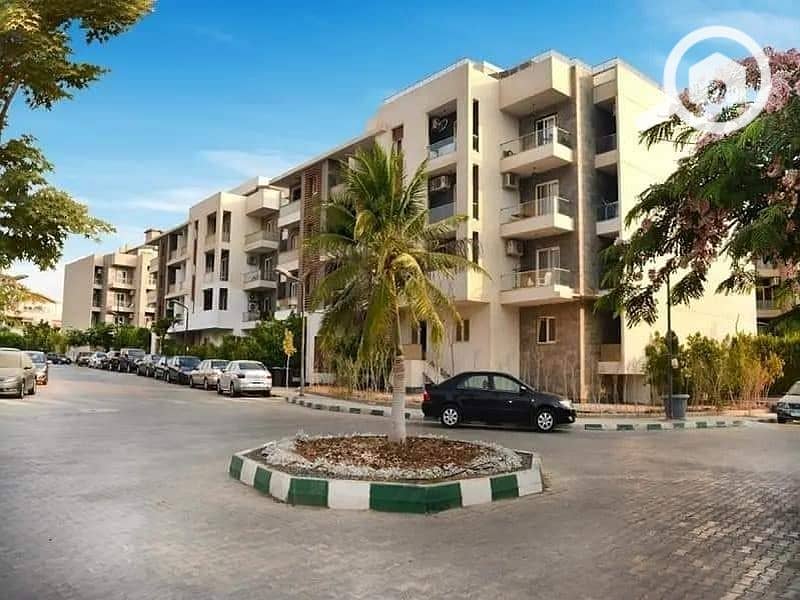 6 WhatsApp Image 2025-10-16 at 4.21. 54 AM. jpg