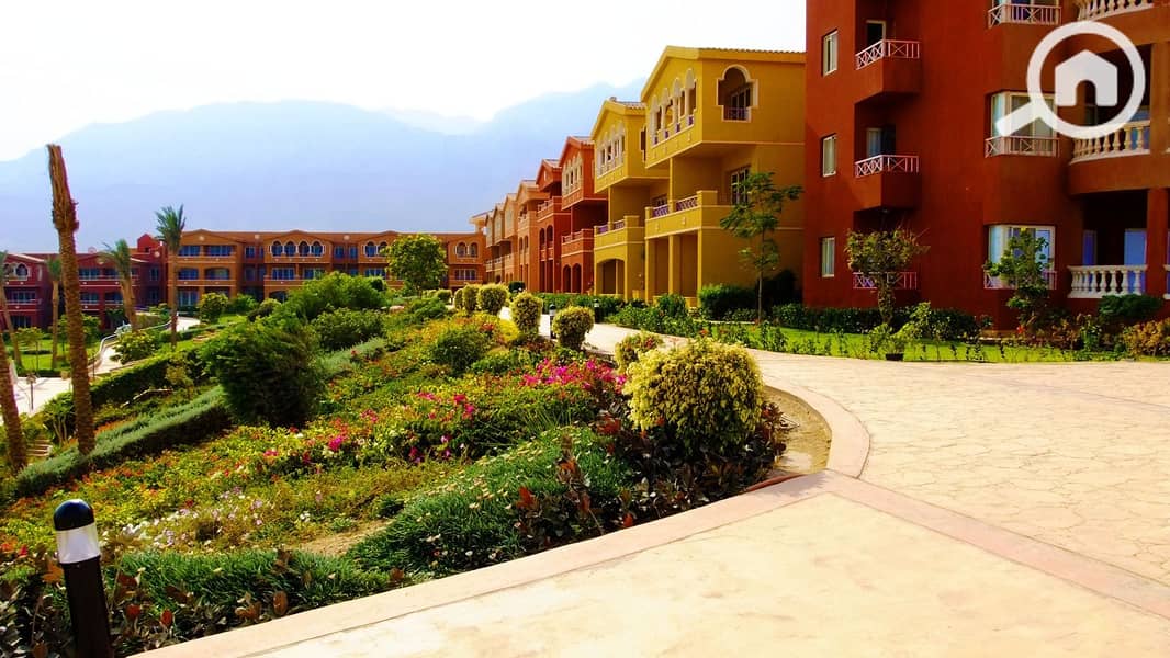 4 WhatsApp Image 2025-05-28 at 1.15. 08 PM (1). jpeg