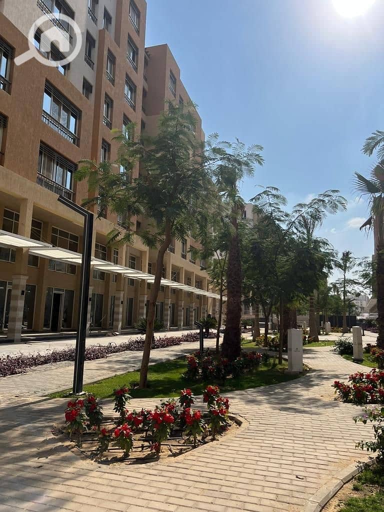 3 db5e7076-5a51-4c7f-83a4-d63a356957c7. jpg