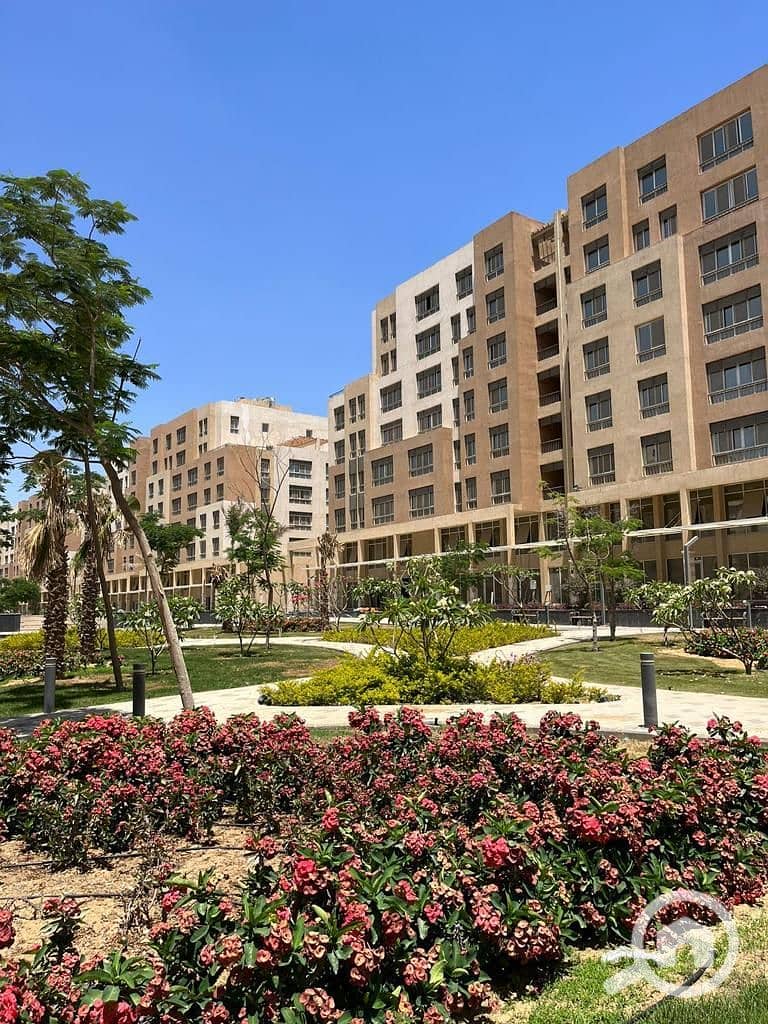 4 8a8d5fbc-328d-4497-b5e3-f88c676203cf. jpg