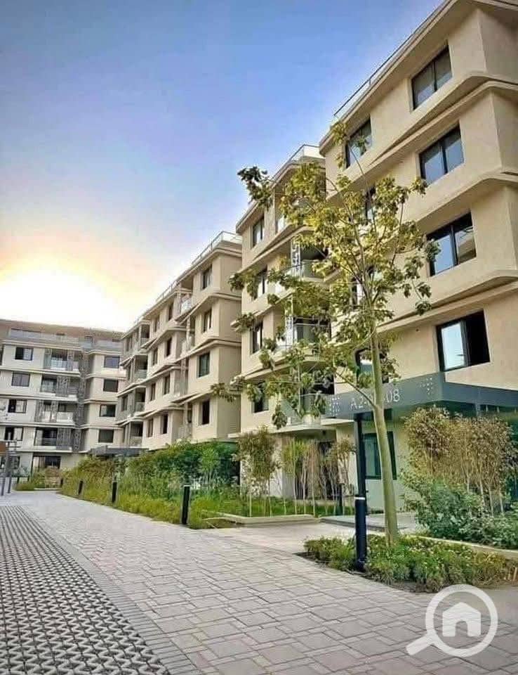 9 559837971_122156525330764402_3718157551951085623_n. jpg