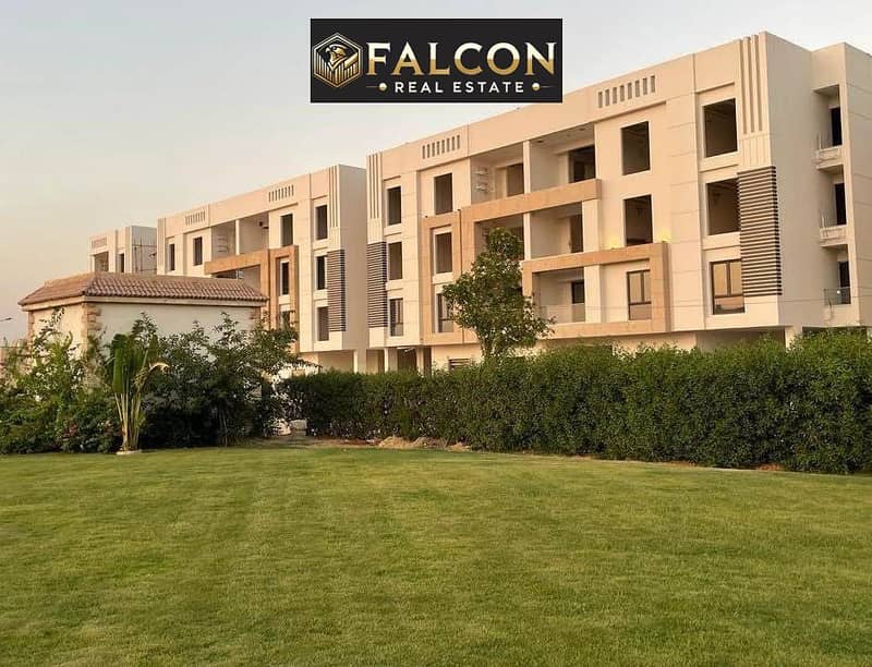 4 436431037_321777457479073_9094234892775871376_n. jpg