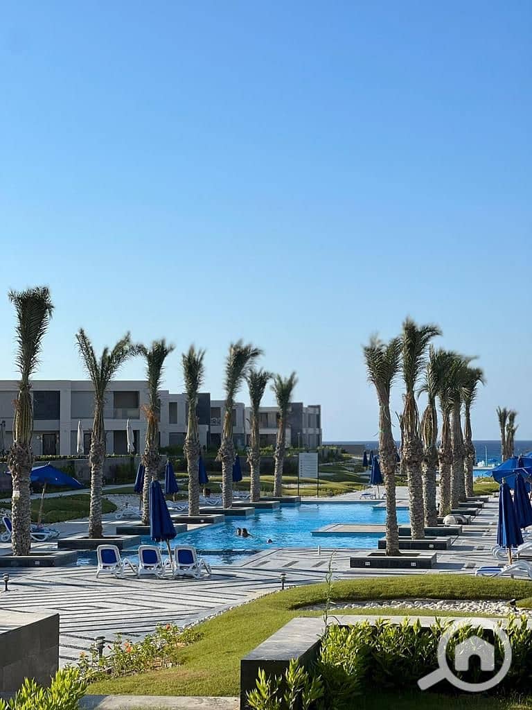 5 3414a695-5136-4598-a91e-ddcf5e826cf6. jpg