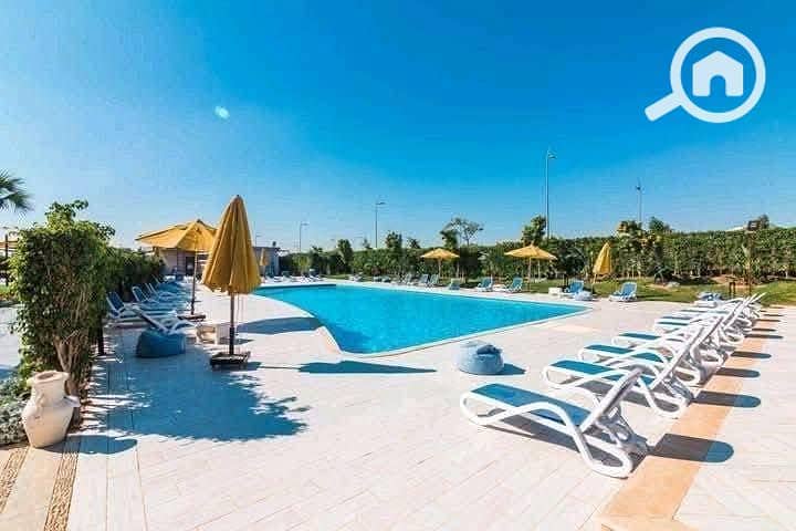 8 558055252_122226157982056878_8563630181437306917_n. jpg