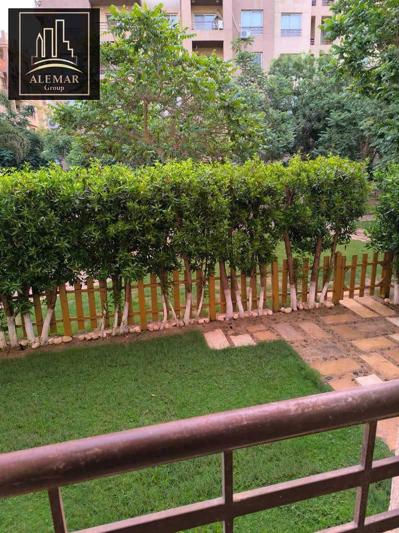 8 c214dede-b255-4fe8-81ed-5db9a526be73. jpeg