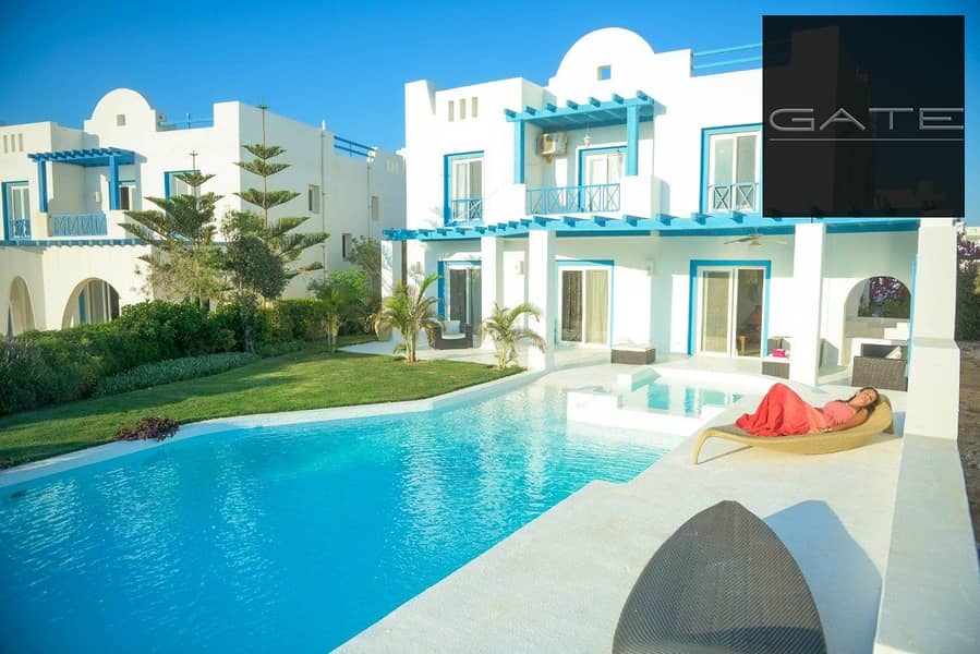 4 281357219_112881958097033_3800015086751191764_n. jpg