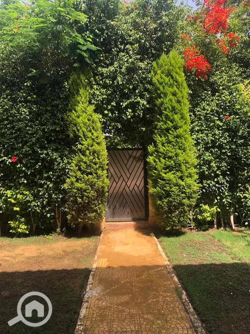 3 d39fbf4f-abc4-4505-ba0b-4ec7f30ec099. jpg