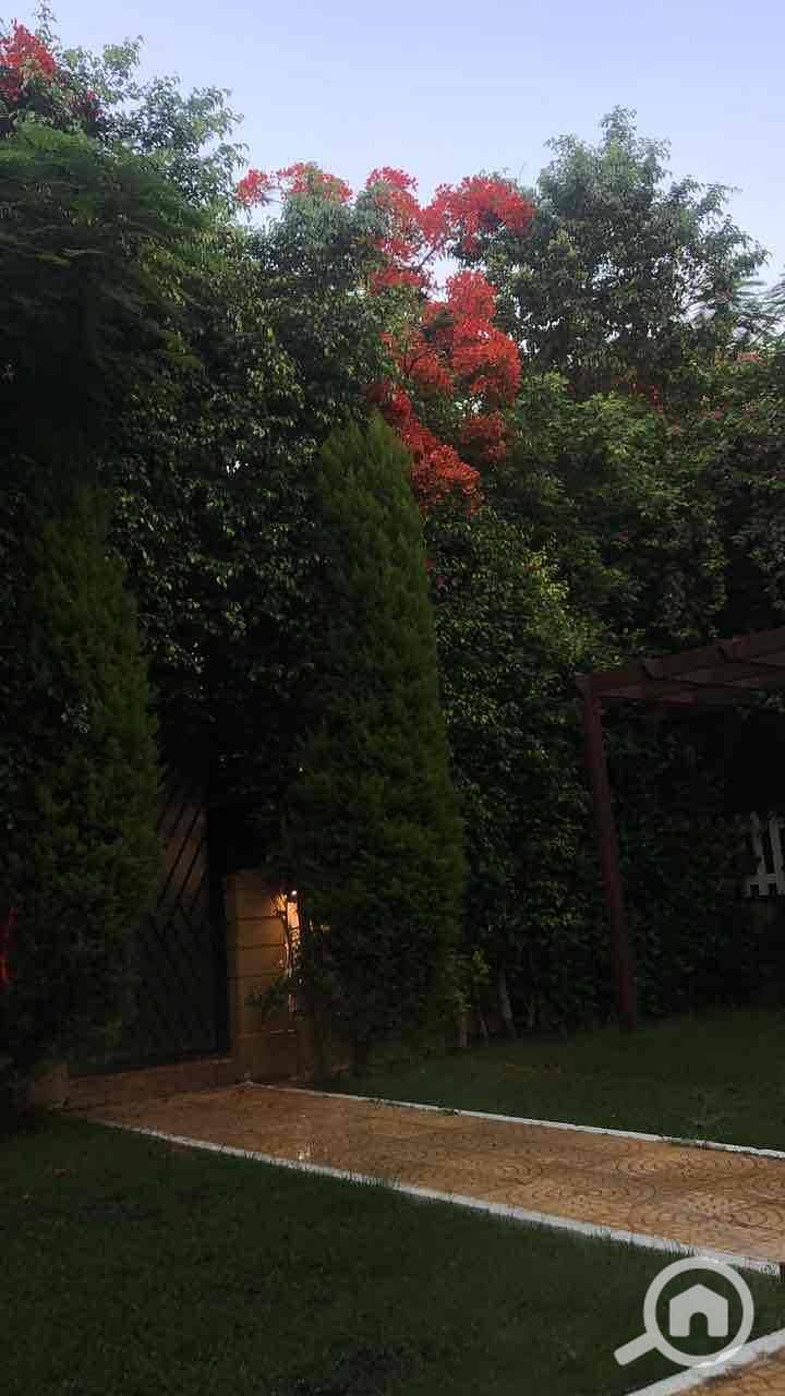 4 1f55c46e-e35e-4e68-a095-1b83a61fe516. jpg