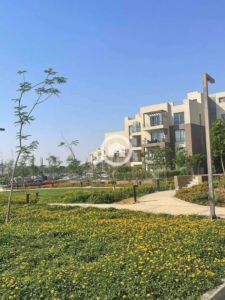 12 556129612_1299802384958579_1095412627195927462_n. jpg