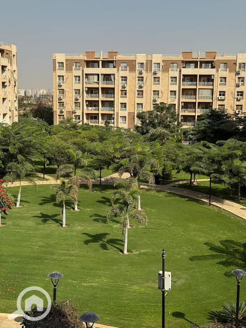 14 1266fe58-2288-41e5-8fd9-098f60ea3c05. jpg