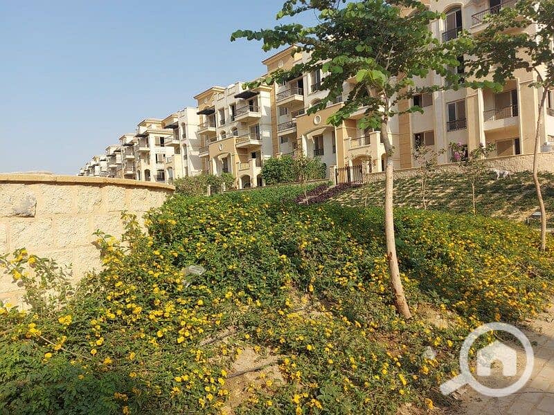 3 WhatsApp Image 2025-11-09 at 14.22. 53_228272b7. jpg