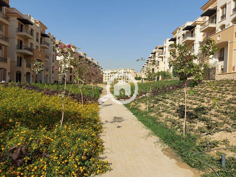 4 WhatsApp Image 2025-11-09 at 14.22. 54_3cb97e85. jpg