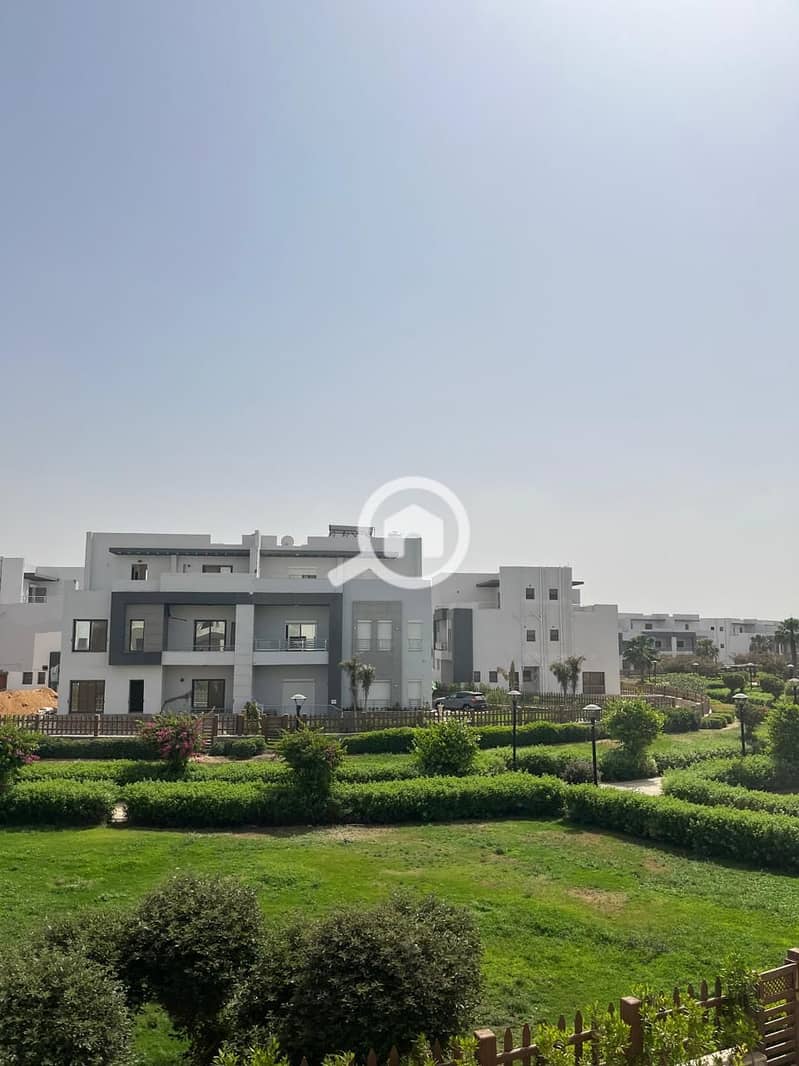 919caf4e-4a77-4371-b279-d6298e17873a. jpg