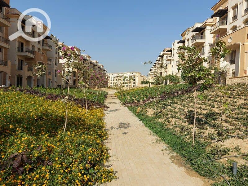 4 WhatsApp Image 2025-11-09 at 14.22. 54_3cb97e85. jpg