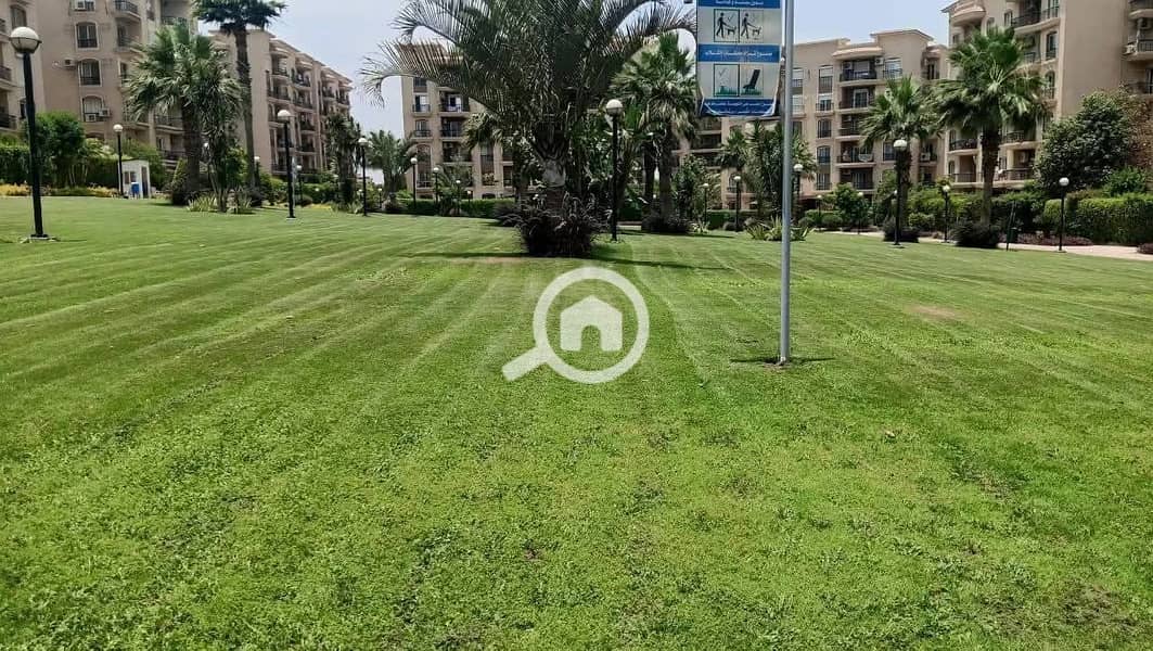 2 IMG-20251108-WA0236. jpg