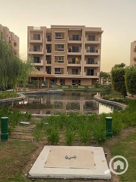 7 574940172_831610832575951_4847211032657170133_n. jpg