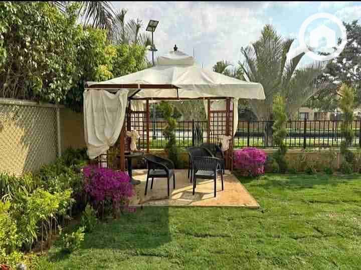 1000542678. jpg 1000542678. jpg