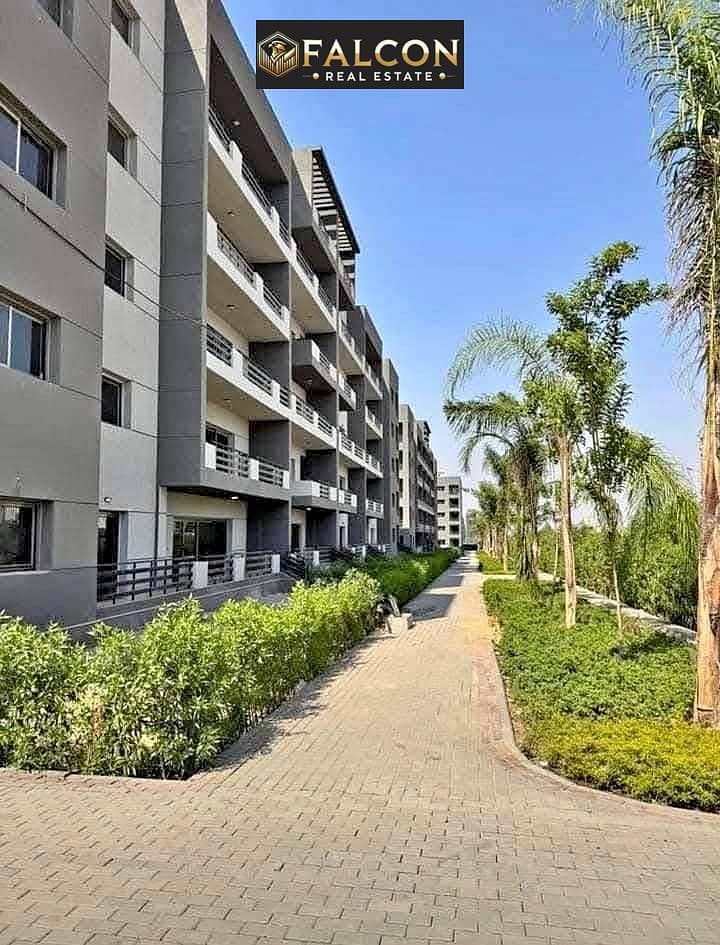 12 498332531_1336662020779077_5295880629512478129_n. jpg