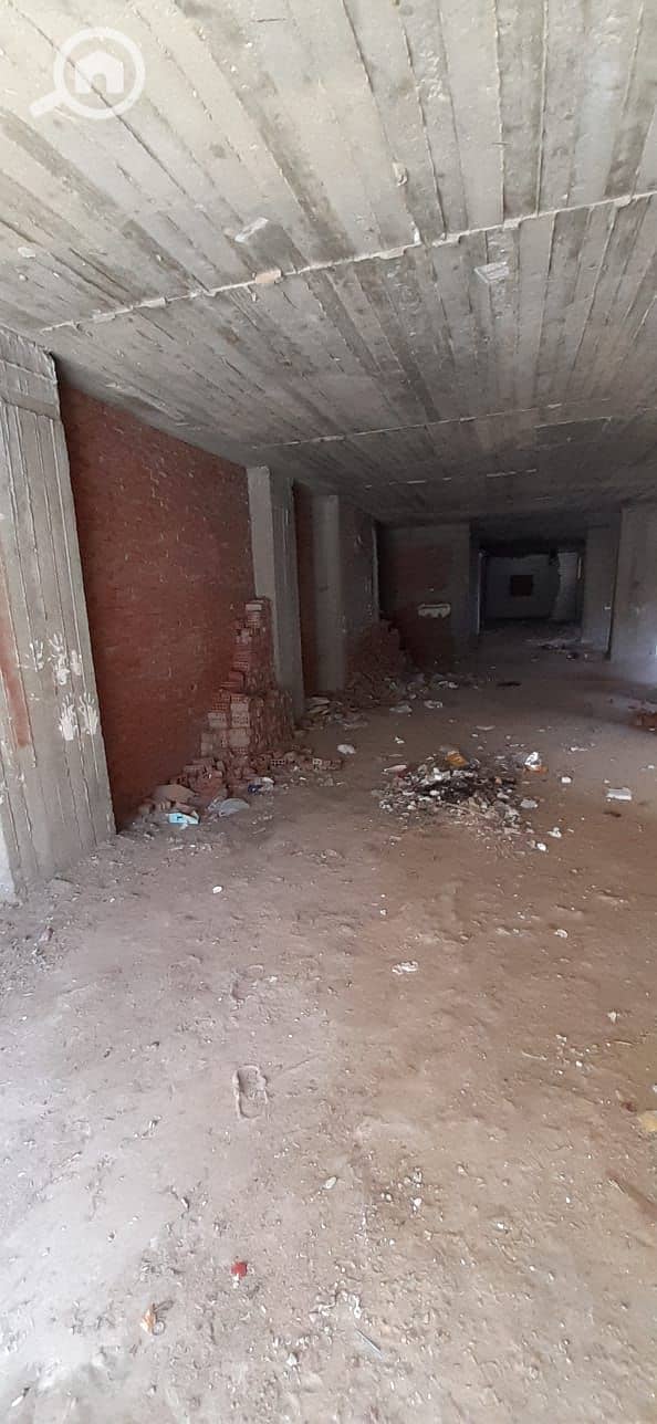 2 WhatsApp Image 2023-11-06 at 2.42. 16 PM (4). jpeg