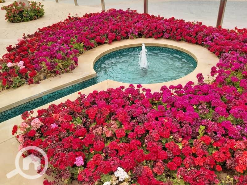 4 WhatsApp Image 2025-11-09 at 2.06. 22 PM (1). jpeg