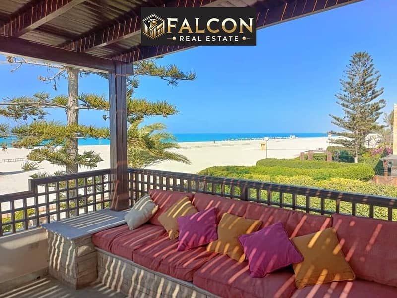 7 441460387_427976693301346_4586487453173929137_n. jpg